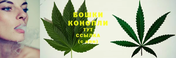 гидропоника Михайловка